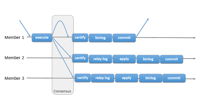 A transaction received by Source 1 is executed. Source 1 then sends a message to the replication group, consisting of itself, Source 2, and Source 3. When all three members have reached consensus, they certify the transaction. Source 1 then writes the transaction to its binary log, commits it, and sends a response to the client application. Sources 2 and 3 write the transaction to their relay logs, then apply it, write it to the binary log, and commit it.
